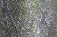 Purfleet fibreglass roof work